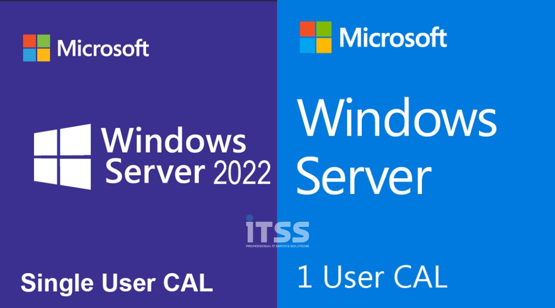  Window Server CAL là gì? Lưu ý những quyền hạn và quy tắc